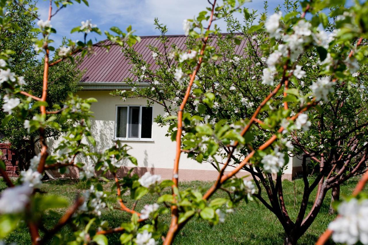 Barskoon Guest House Extérieur photo